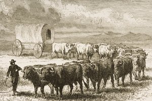 Un chariot traversant les Grandes Plaines entre St. Louis et Denver, c.1870, de 